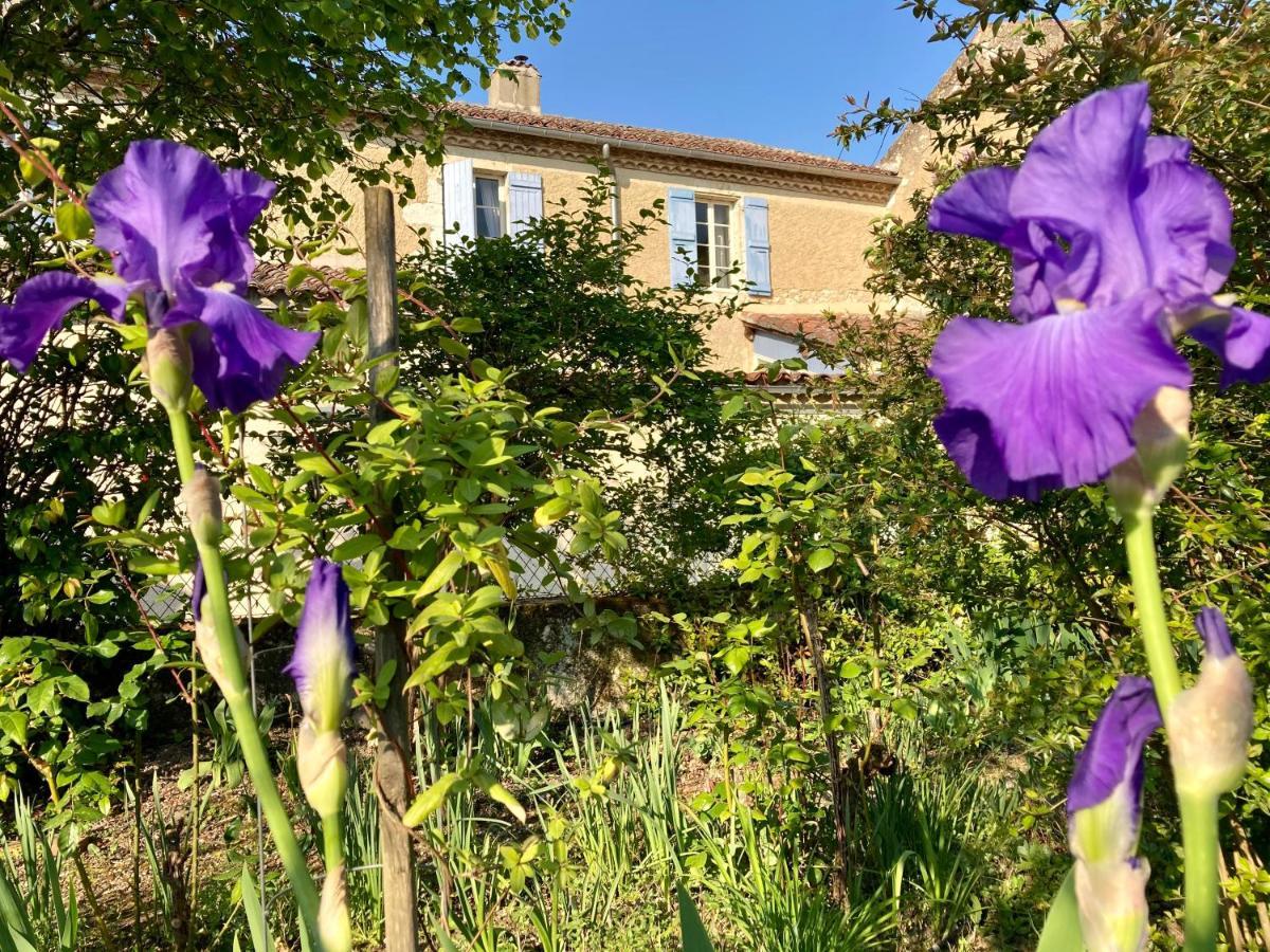 Valence-sur-Baïse Le Petit Cochon Bed & Breakfast エクステリア 写真