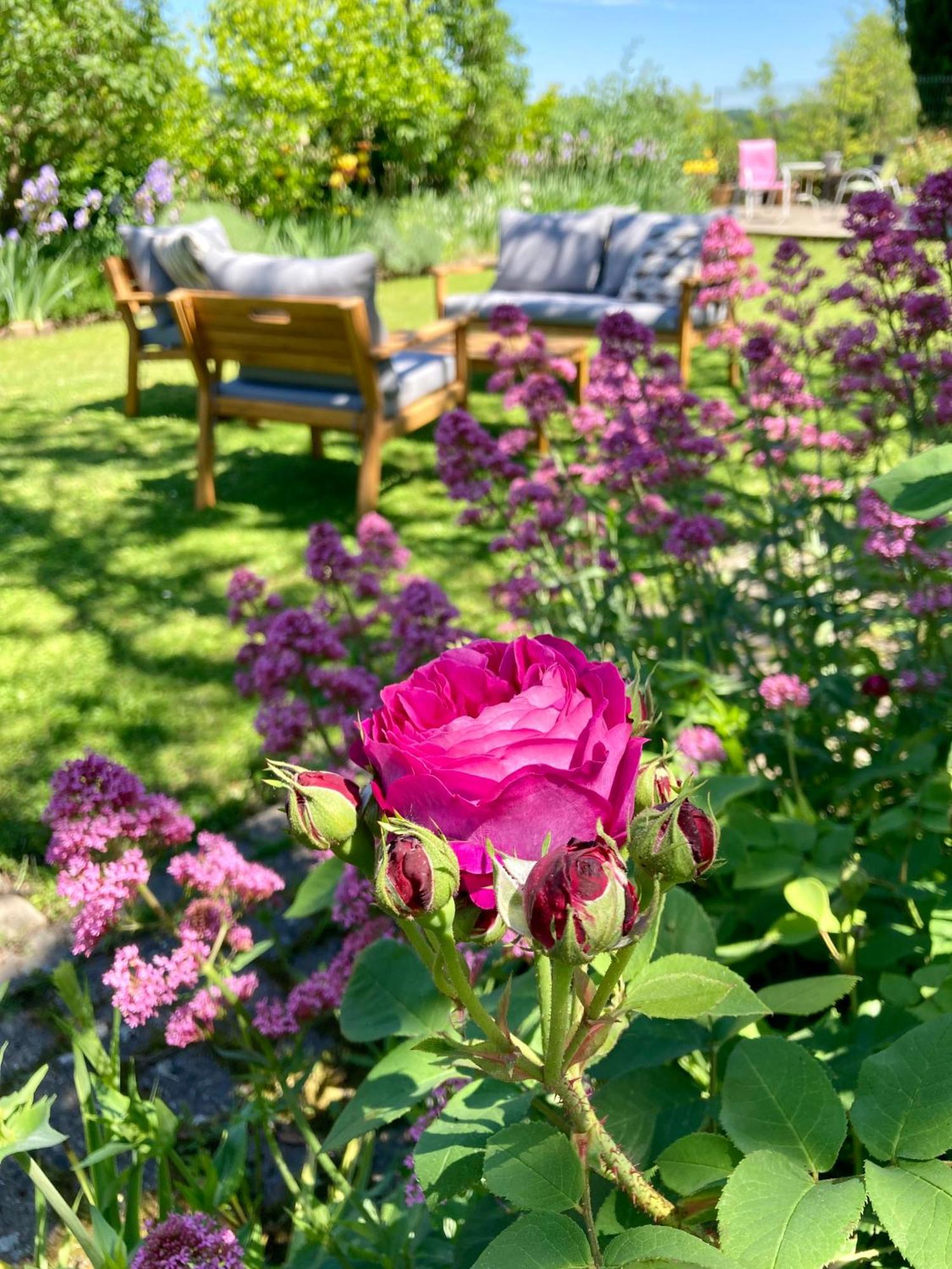Valence-sur-Baïse Le Petit Cochon Bed & Breakfast エクステリア 写真
